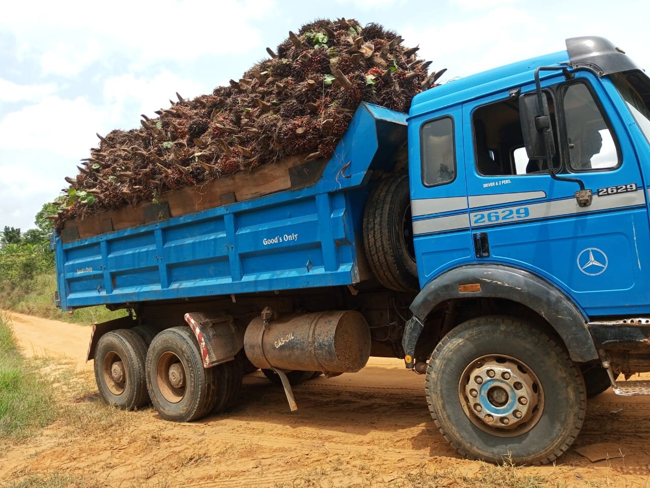 Transport des noix pour les clients ayant des champs